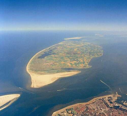 texel from above