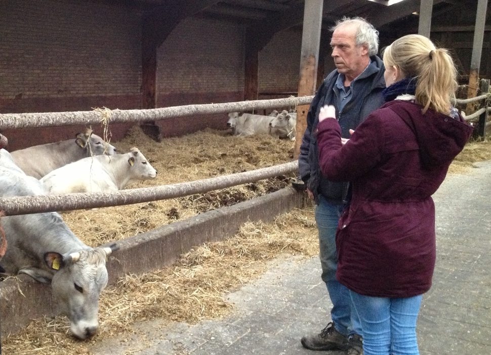 Meeting the animals at the farm of Werner Dros