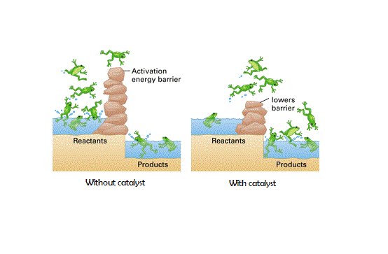 Activation energy.gif