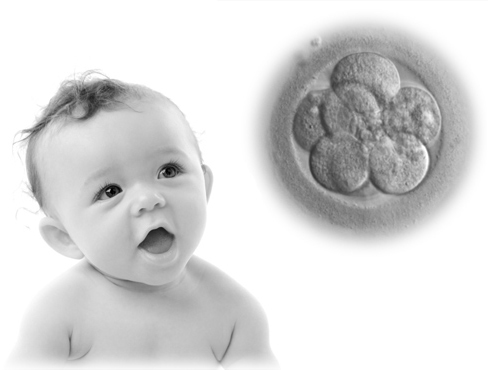 Does life begin at fertilization, in the womb, or at birth? 
