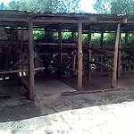 Stables at Loreto Convent