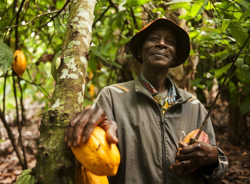 Cocoa farmer in Ivory Coast