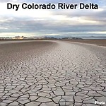 Dry River Delta