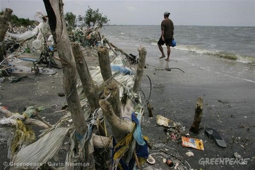 trashy beach.jpg