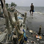 trashy beach.jpg