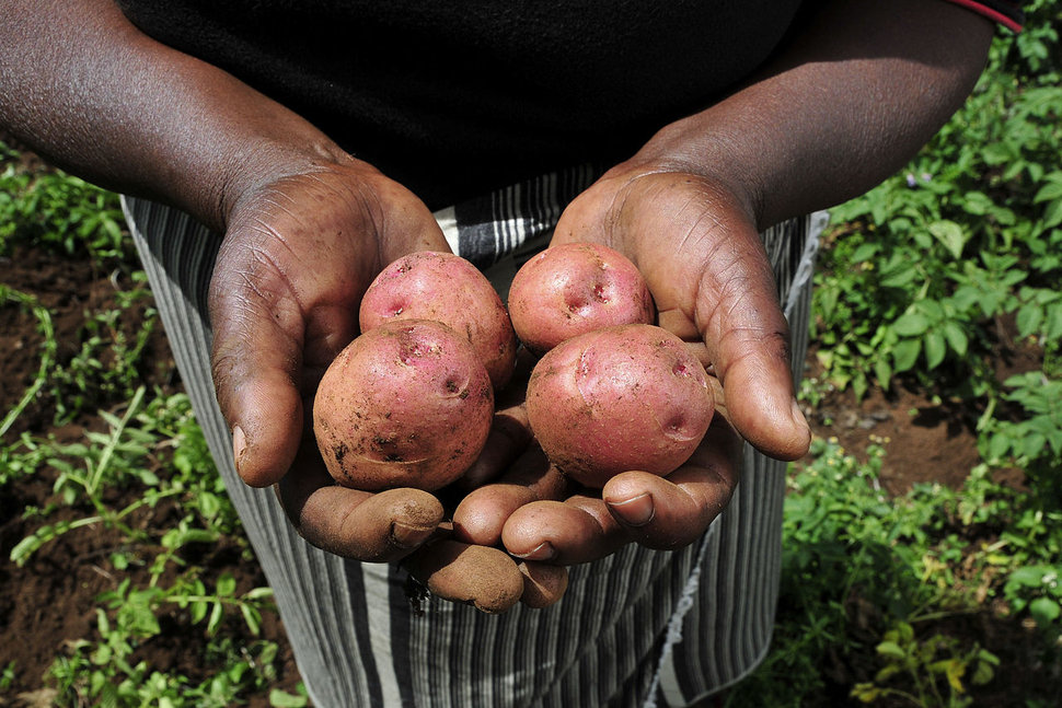 Research on farming