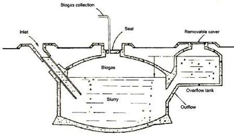 biogas_plant_photo (2).jpg