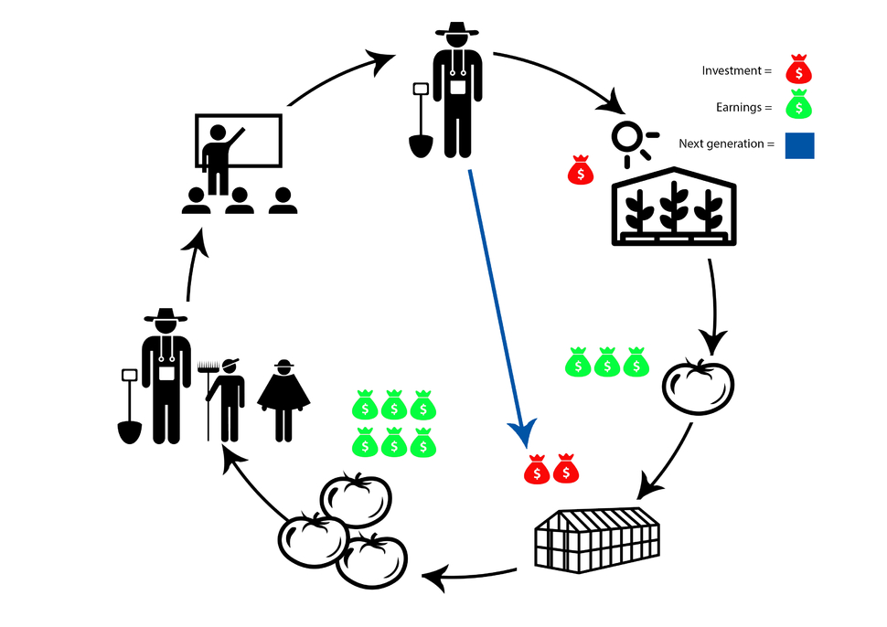 process, made by Fedha Safi