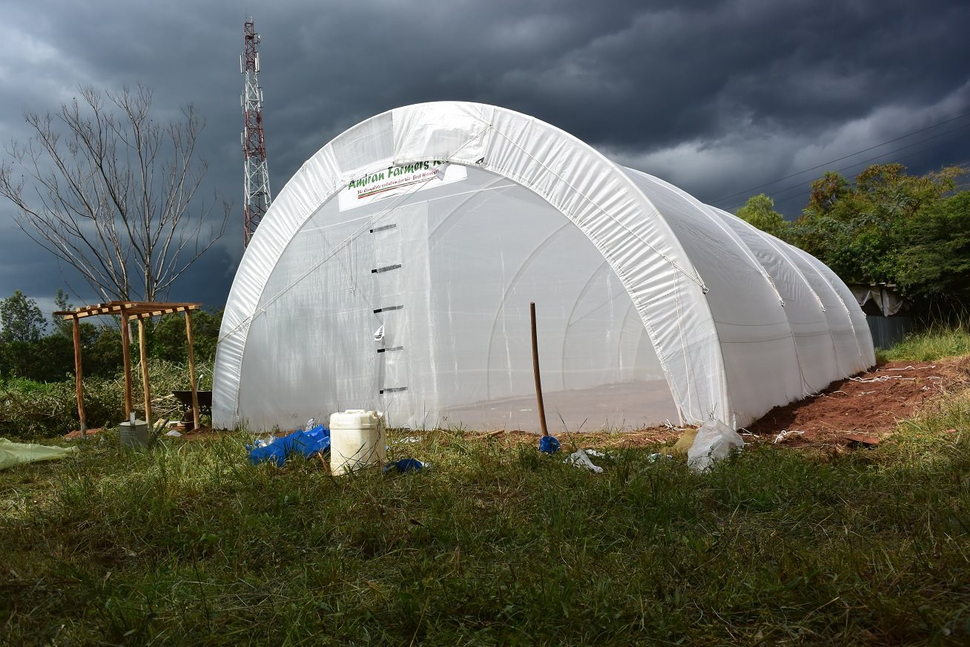 greenhouse at JOOUST