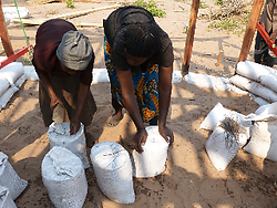 mongu filling bags.jpg