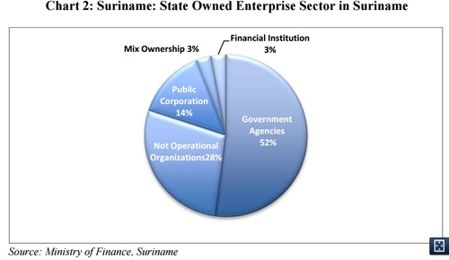 surinam public sector.jpg