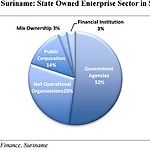 surinam public sector.jpg