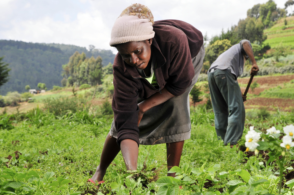 Woman farming