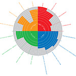 Figure 2 - YUPTA cirkle focussing on the Profit Local