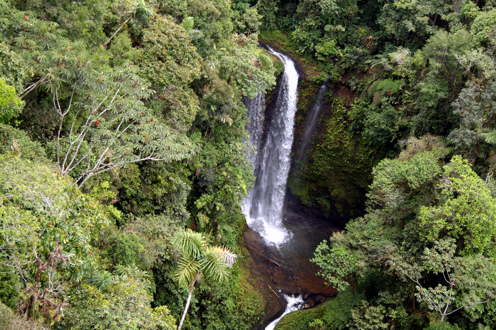 amazon waterfall.jpg