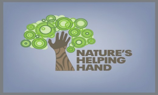 Nature’s-Helping-Hand-520x315.jpg