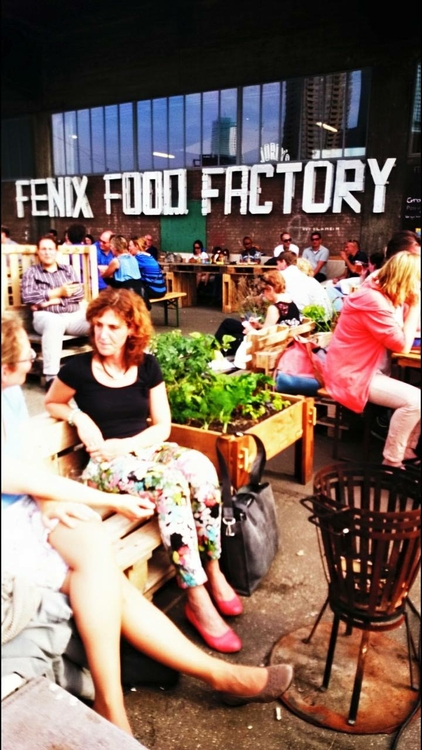 column week 4 Fenix Food Factory.jpg
