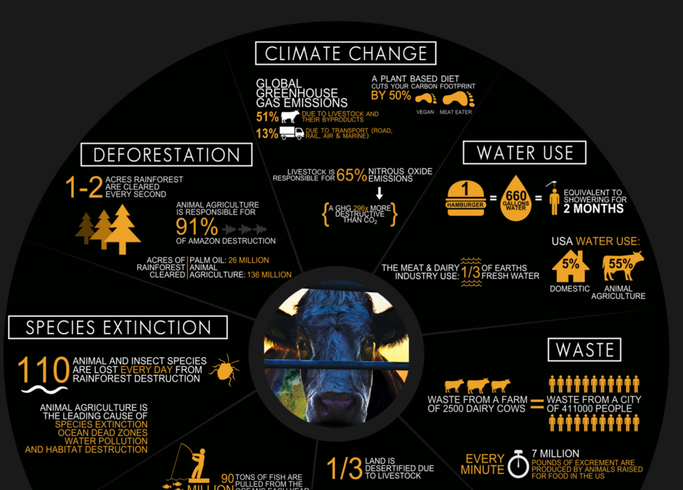 Cowspiracy-Infographic_2.png