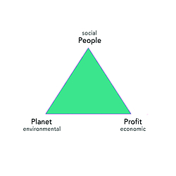 Figure 1. Sustainability scheme (own illustration)