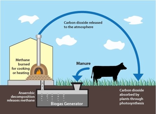 1._How_to_start_a_biogas_production_business_in_africa_3.jpg