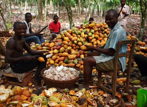 Cocoa-farmers.jpg