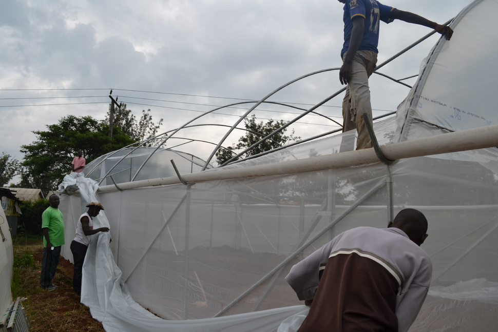 Constructing the greenhouse