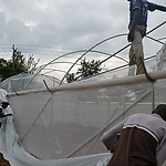 Constructing the greenhouse