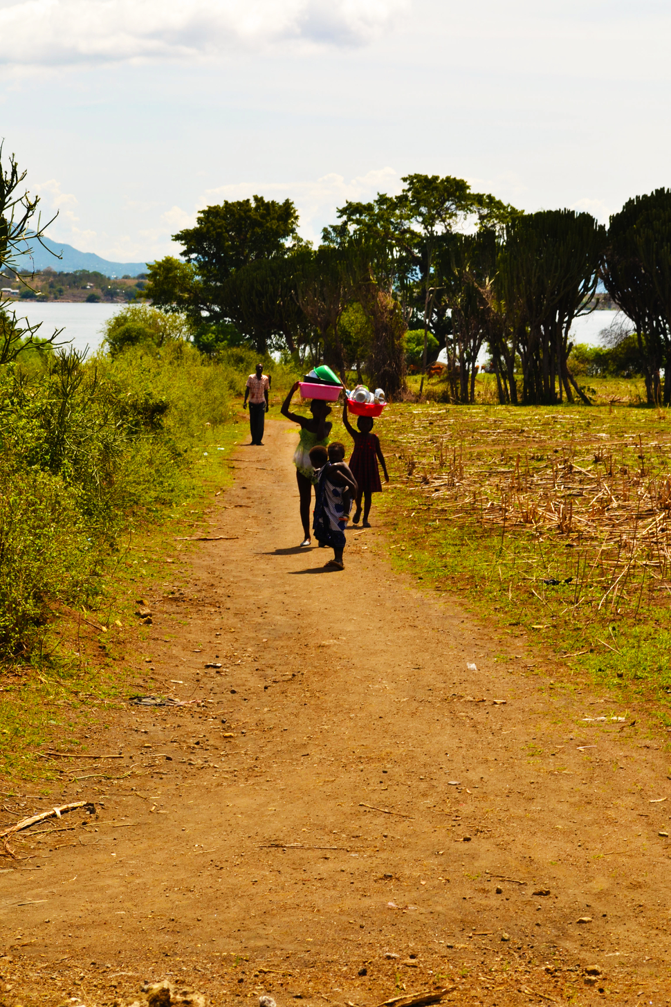 Road at Rosinga Island Lake Victoria