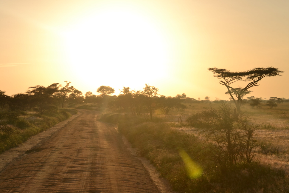 Serengeti